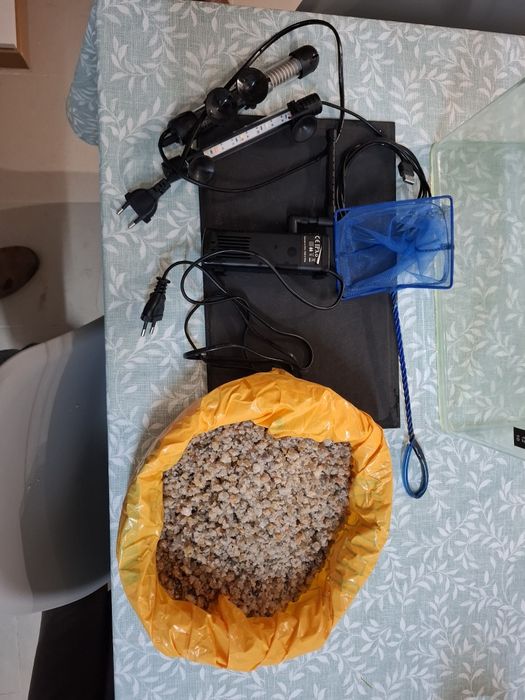 Aquário 20l (Pronto a utilizar)