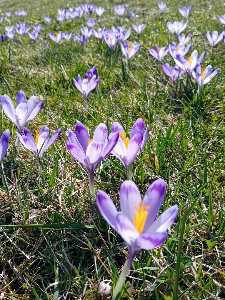 Pokoje gościnne "Za sichłą"