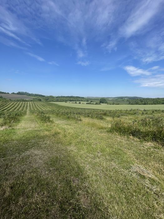 Продаж земельної ділянки з бізнесом 4 га