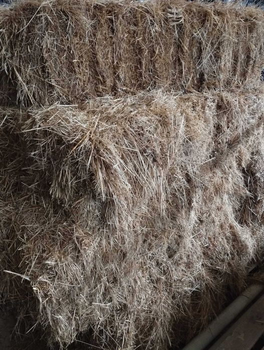 50 Fardos de Palha Aveia - 5€ cada fardo