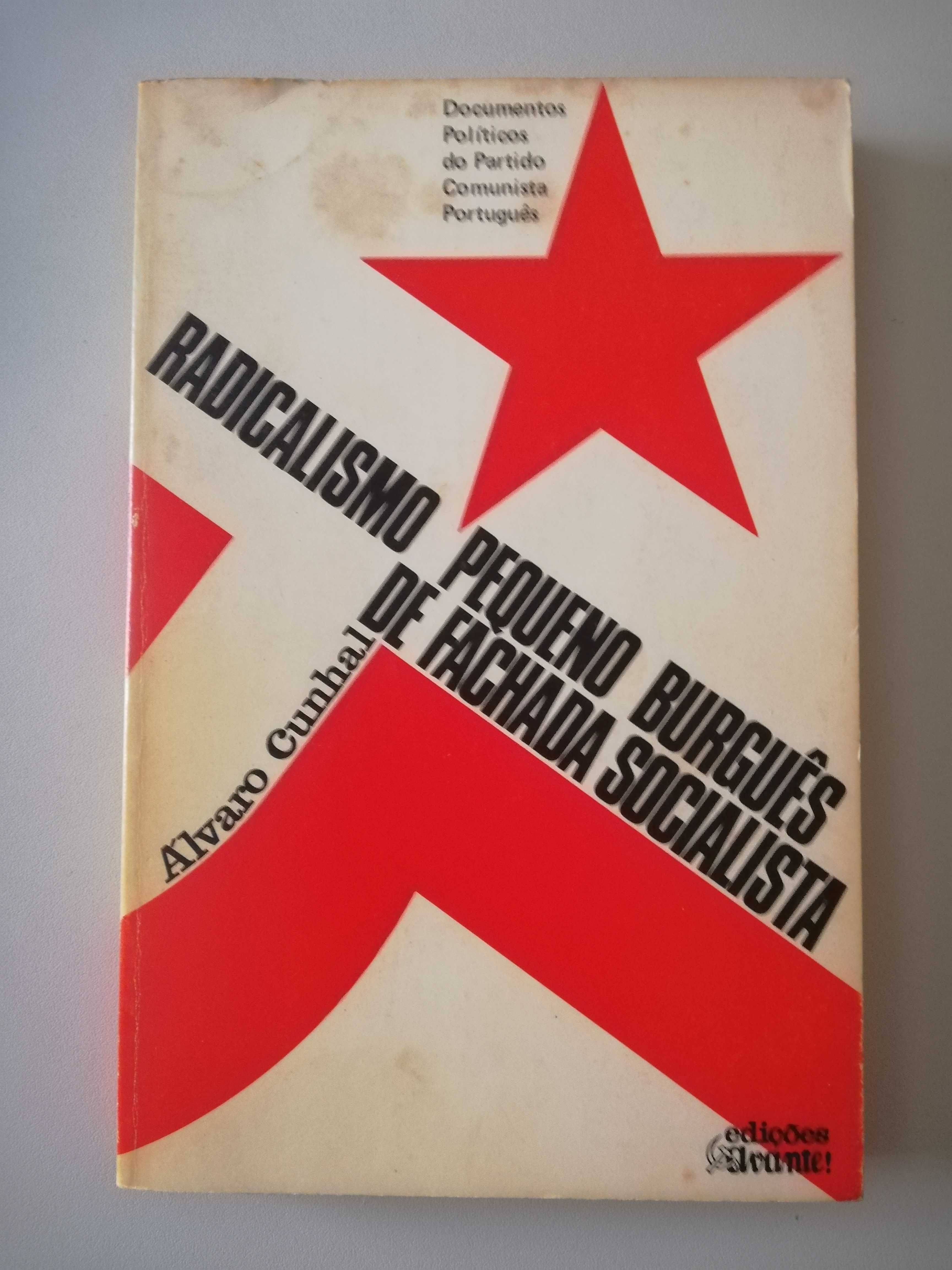 Radicalismo Pequeno Burguês de Fachada Socialista