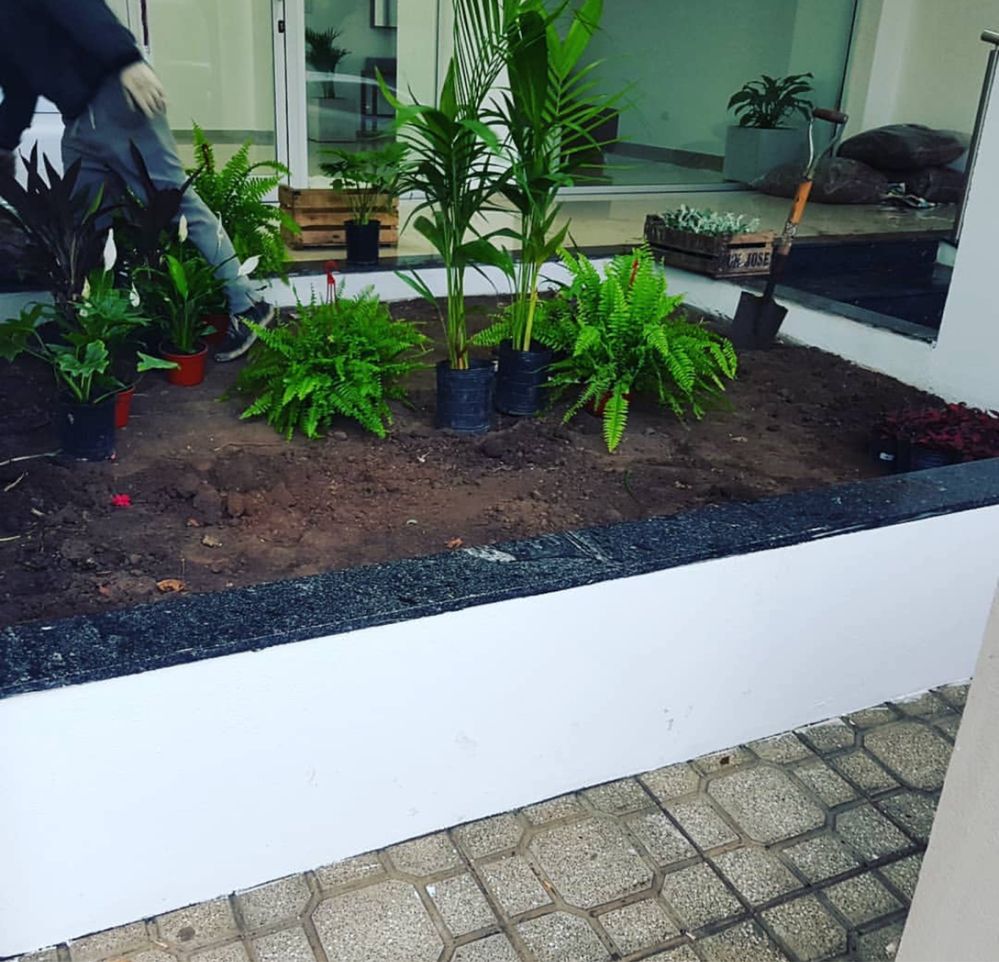 Serviço profissional de jardim