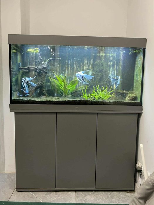 Akwarium Juwel 240 l całość