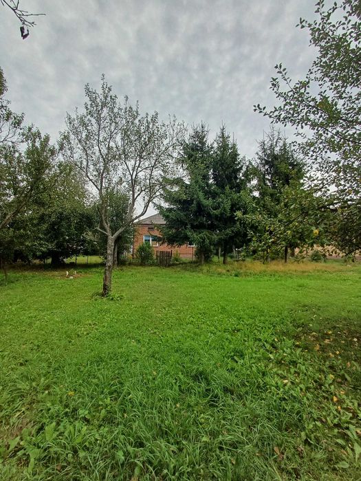 Dom z budynkami gospodarczymi  działka1 ha przy trasie Lublin Biłgoraj