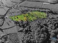 Terreno em Mões de 7026,00 m2