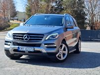 Mercedes benz ml 350