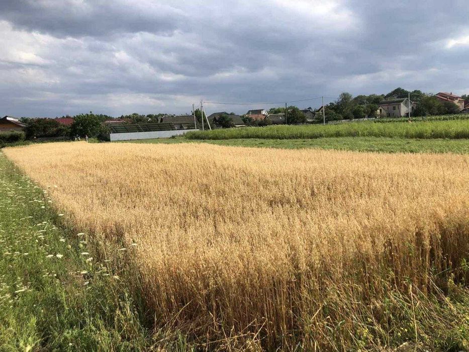 Продаж / Земля/Чукалівка / Франківськ