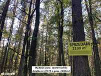 Jura tania działka w lesie 2100m2 tylko 12.300 zł