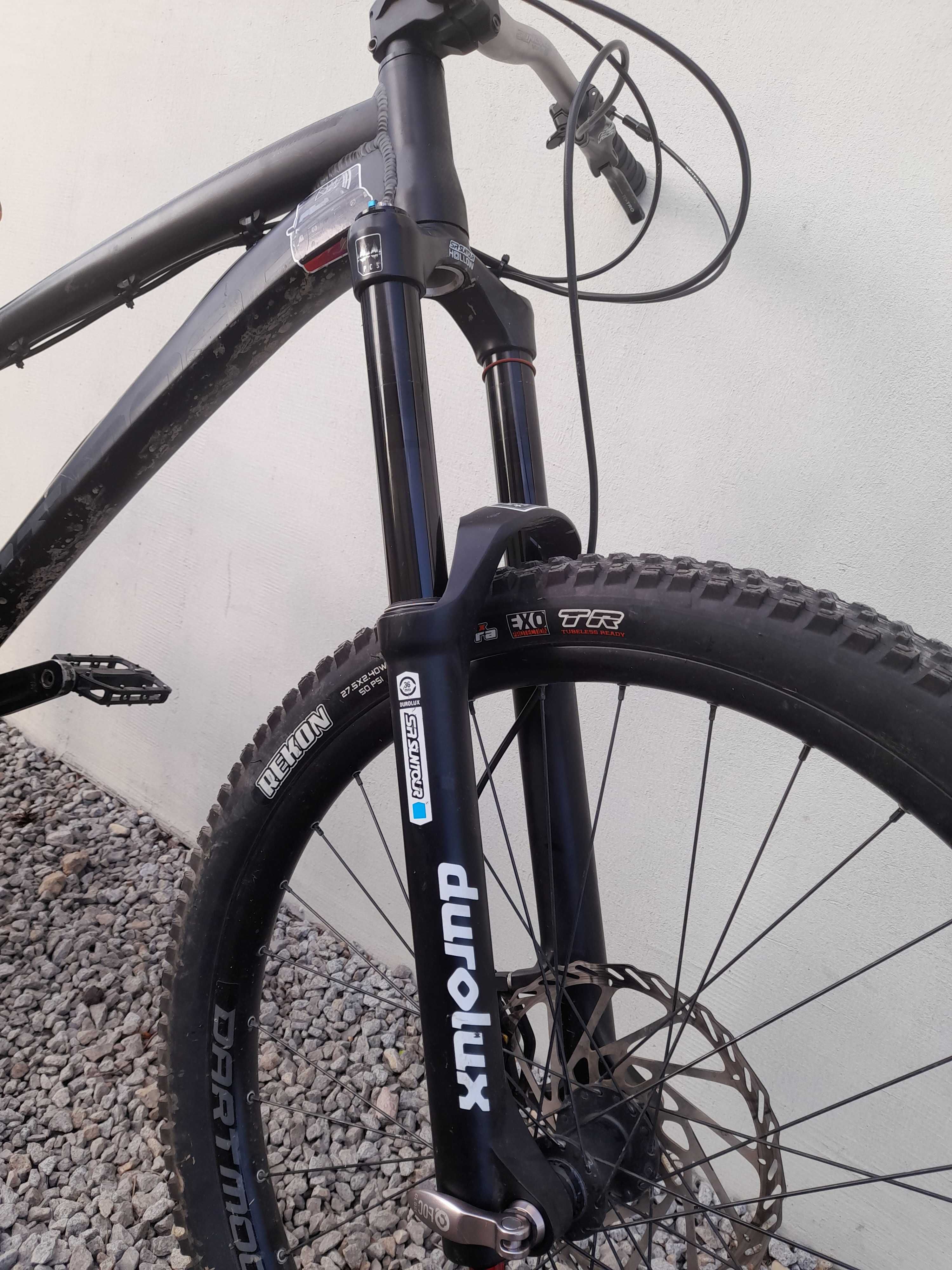 Dartmoor hornet 2020