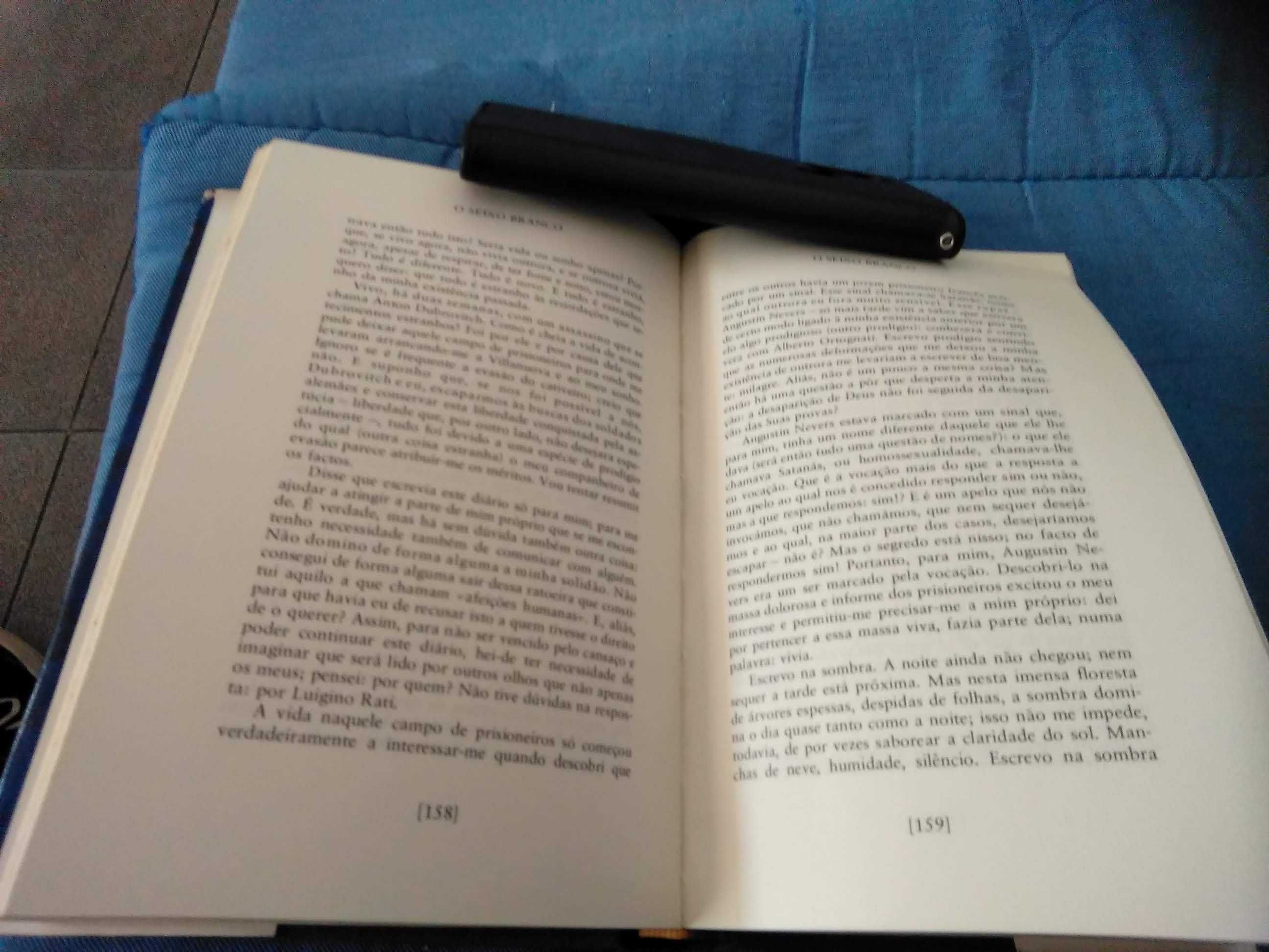 Livro - O seixo branco