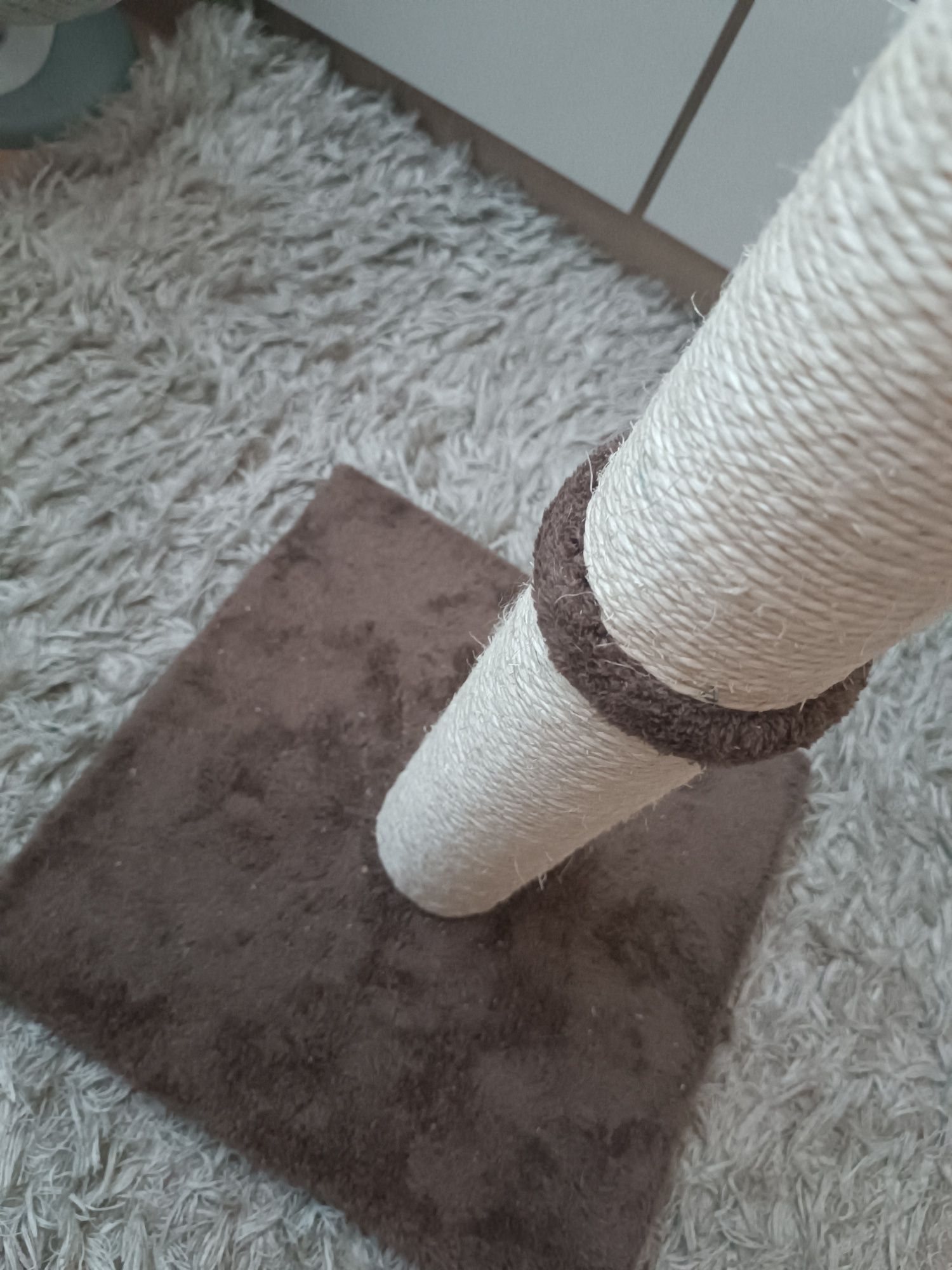 Drapak dla kota b dobry
