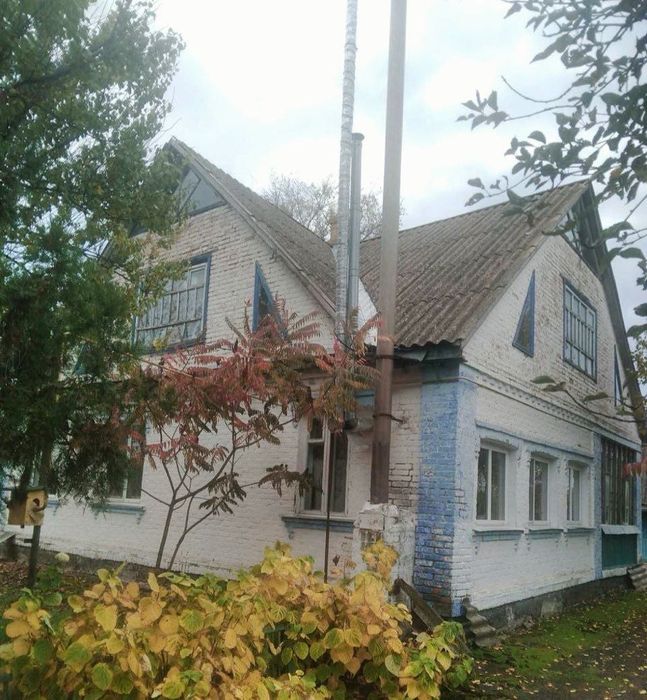 Продам будинок в селі Карпилівка