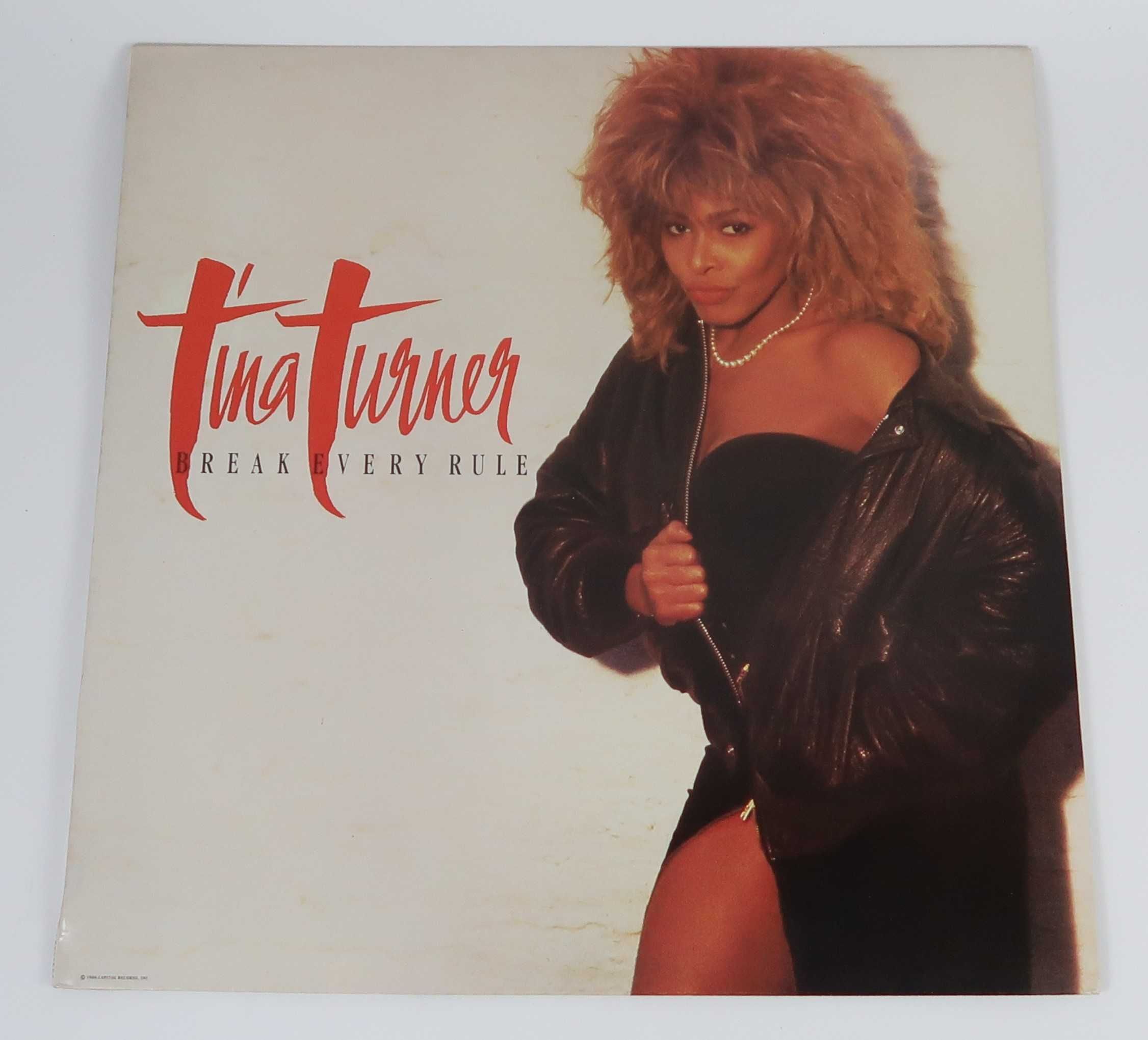 Tina Turner ‎- Discos de Vinil (venda do conjunto ou unidade)