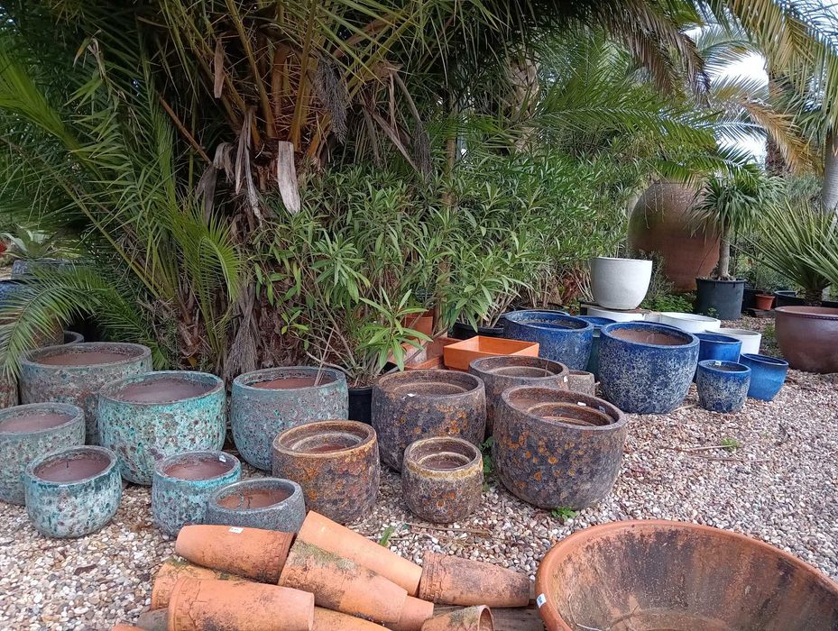 Vasos vidrados, barro, grés, terracota, plastico