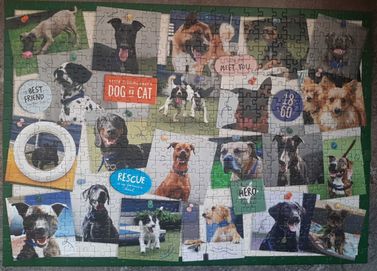 Puzzle 500 elementów- M&S - Psy - Rescue Dogs