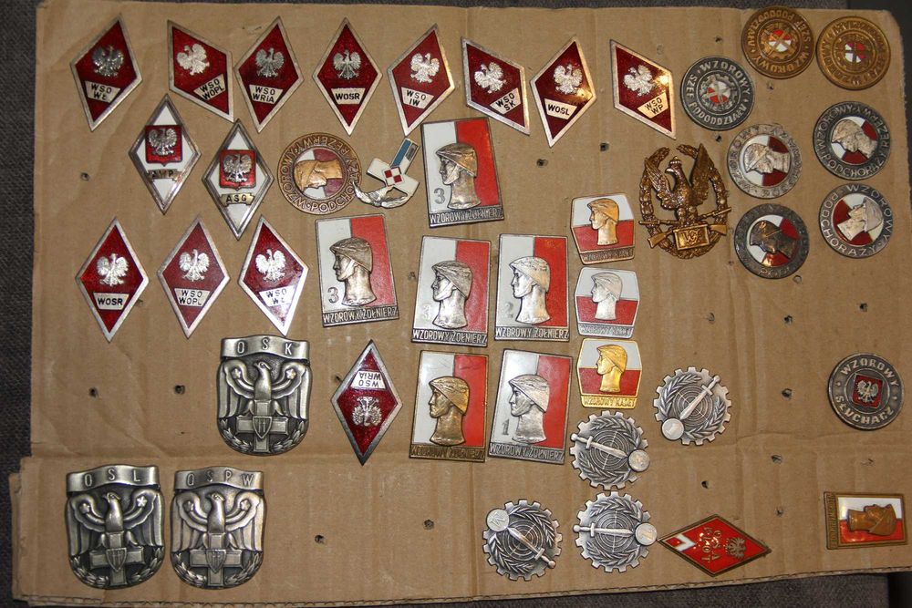 Duży zestaw odznak Nr 2