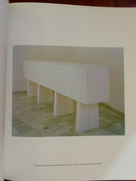 Pedro Cabrita Reis - Contra a claridade