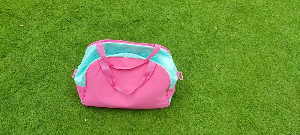 Mala da Frozen de grande dimensão