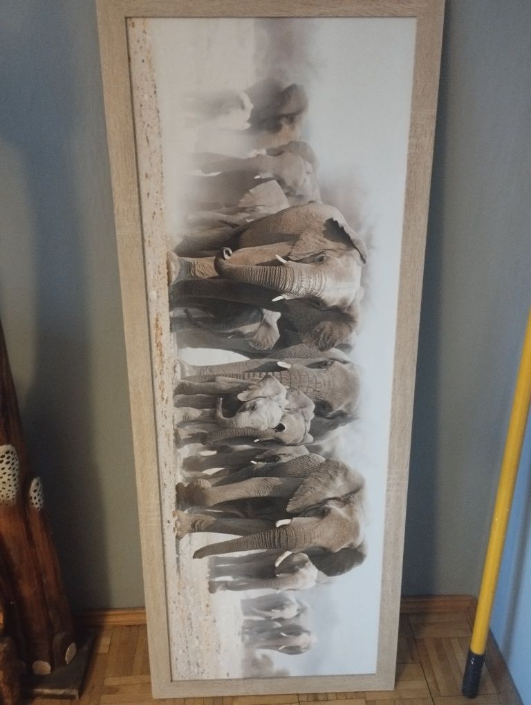 Obraz słonie duży