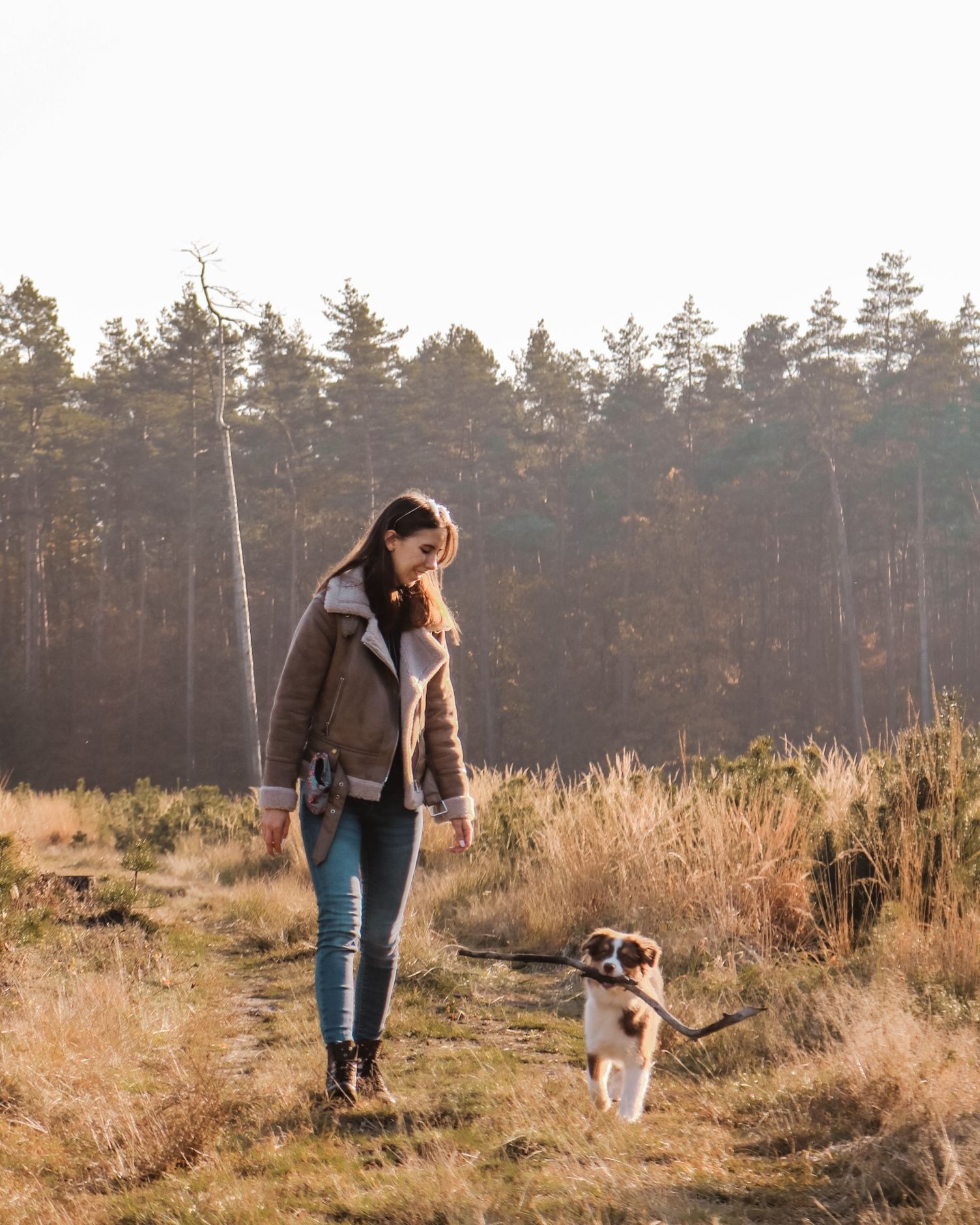 Petsitter Gliwice, opieka dla zwierząt