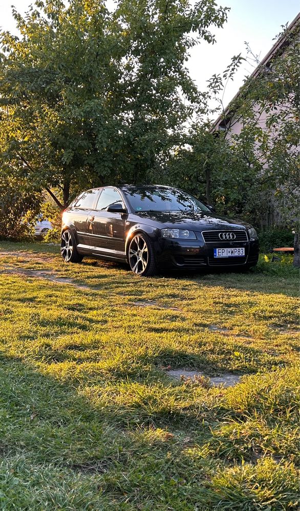 Audi A3 8P 1.6 Gaz