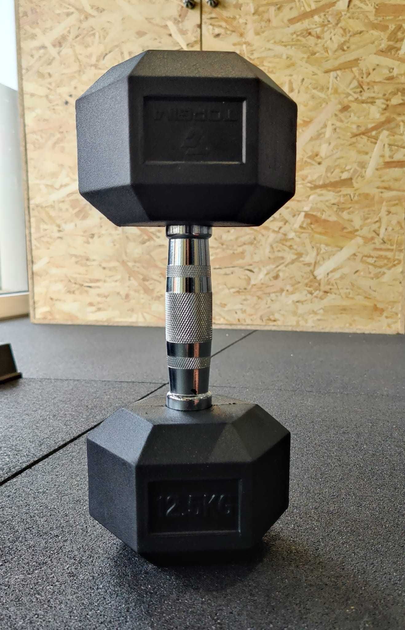 Halteres Hexagonais 12.5 kg