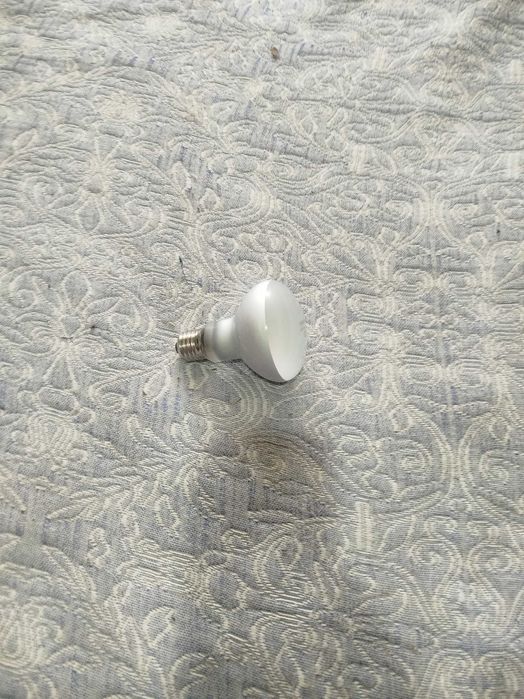 Lâmpada para Terrários