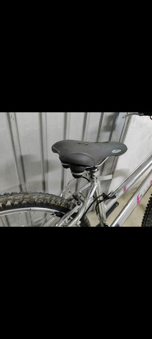 Bicicleta (roda 26) da Esmaltina