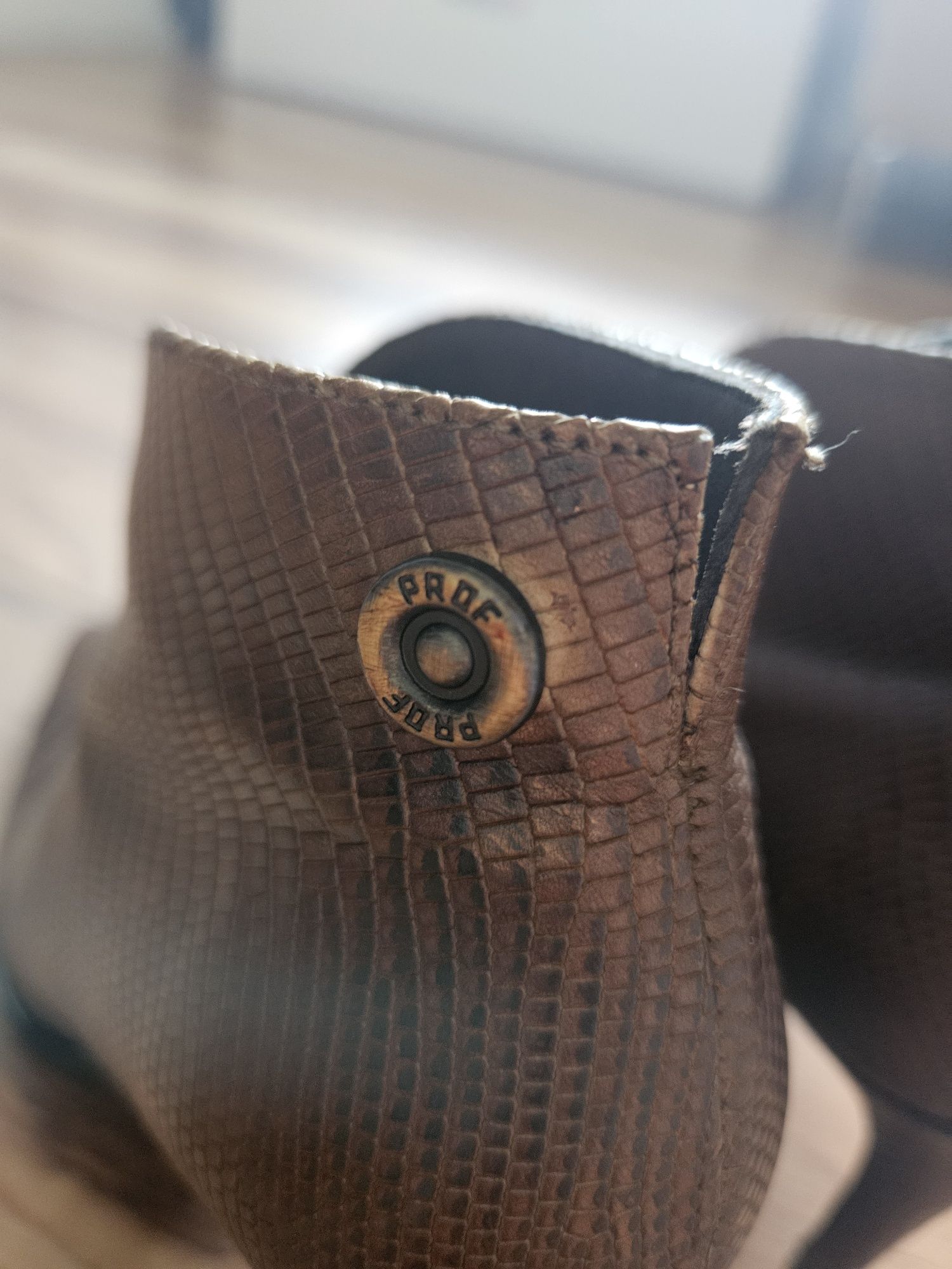 Botins Prof em V.