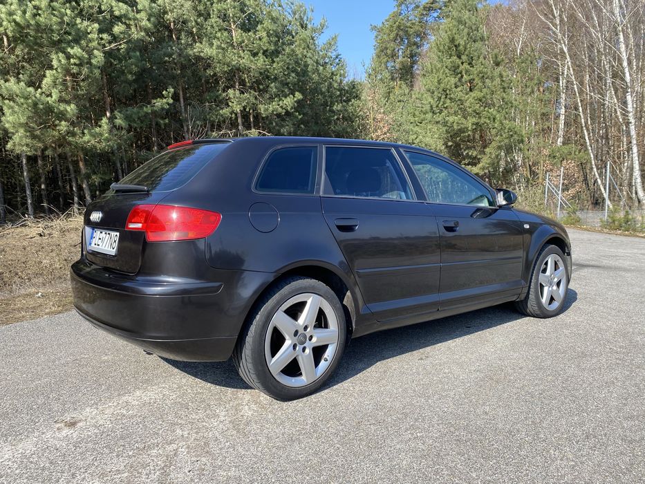 Audi A3 8P 1.9 TDI 2004