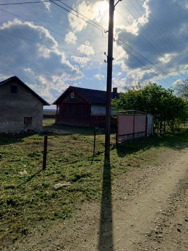 Будинок. Земельна ділянка