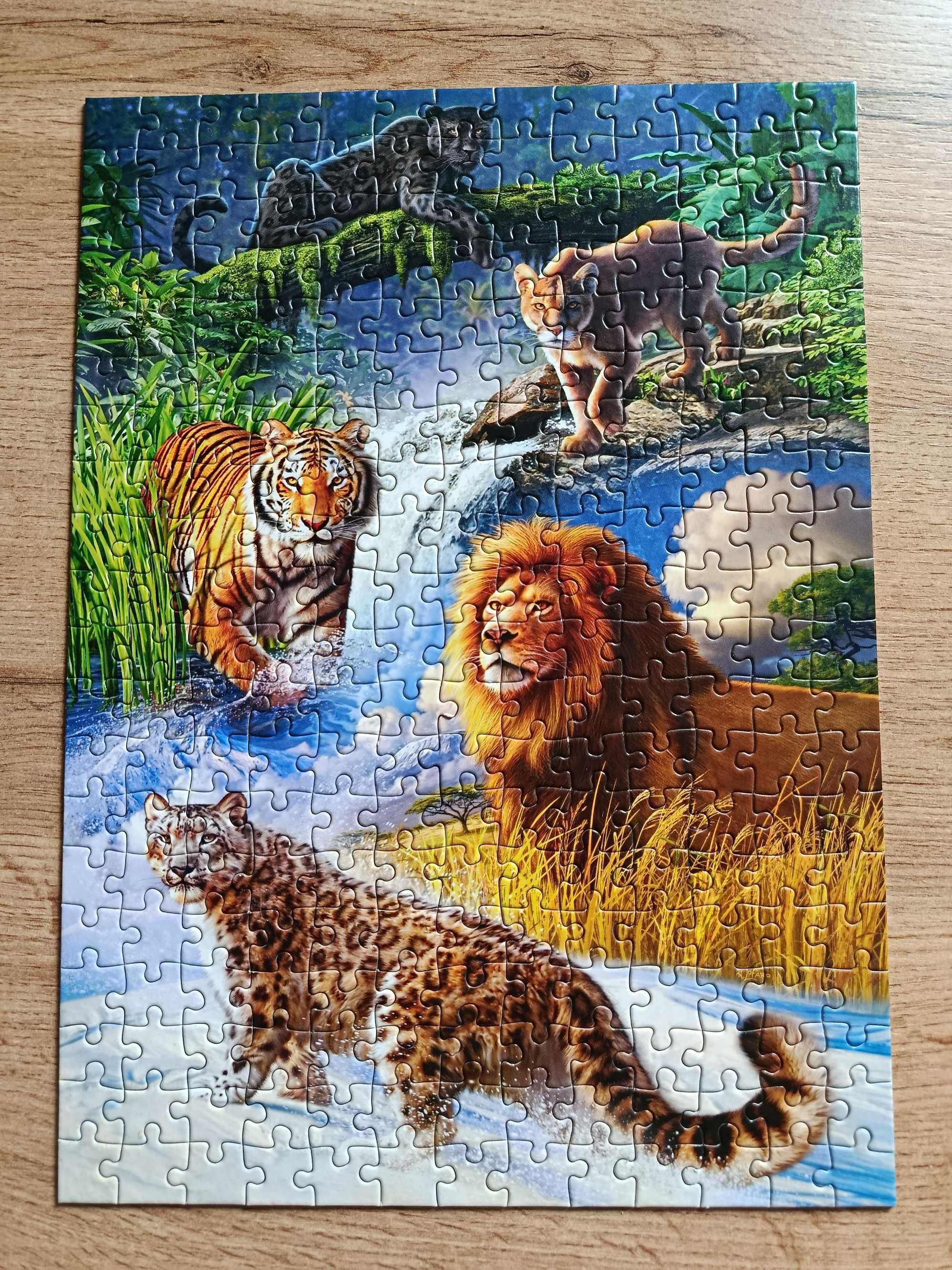 Puzzle 260 elementów z kotami