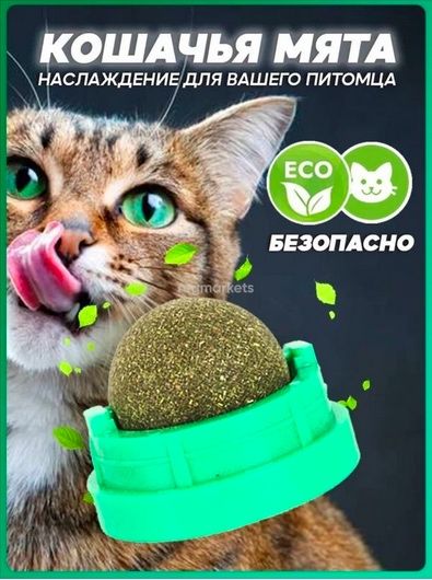 Кошачья мята в шарике
