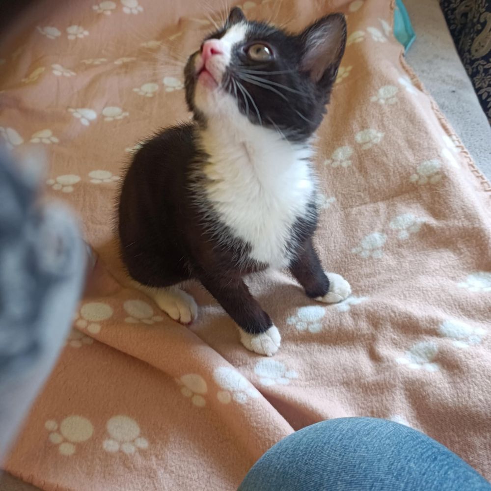 Hej mamo! Kiedy mnie adoptujesz?