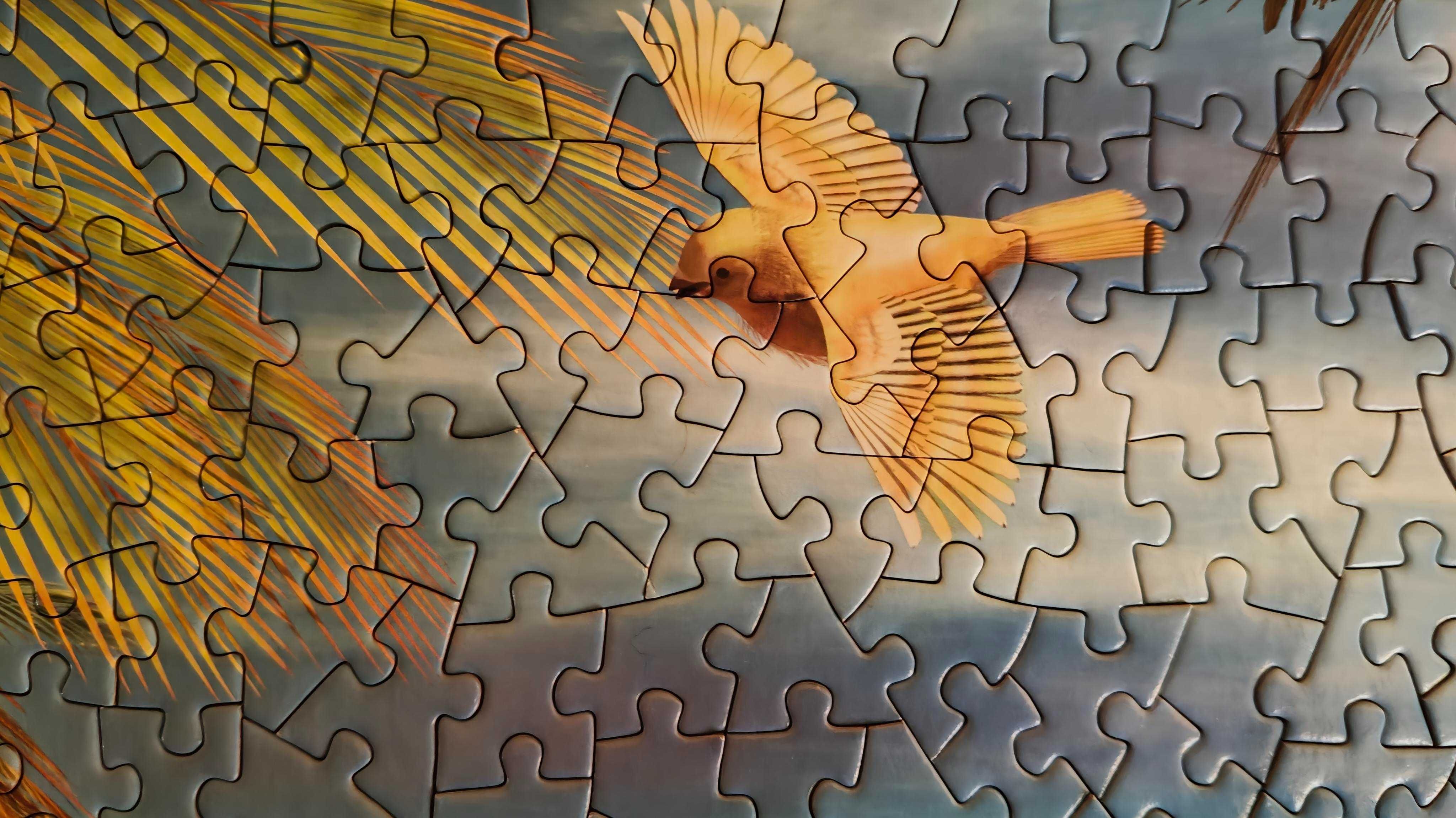 Puzzle  Time To Play 1000