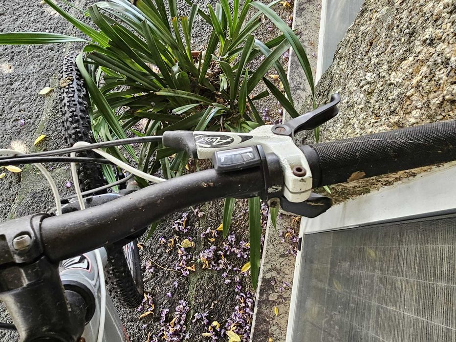 Bicicleta Berg Trail Rock