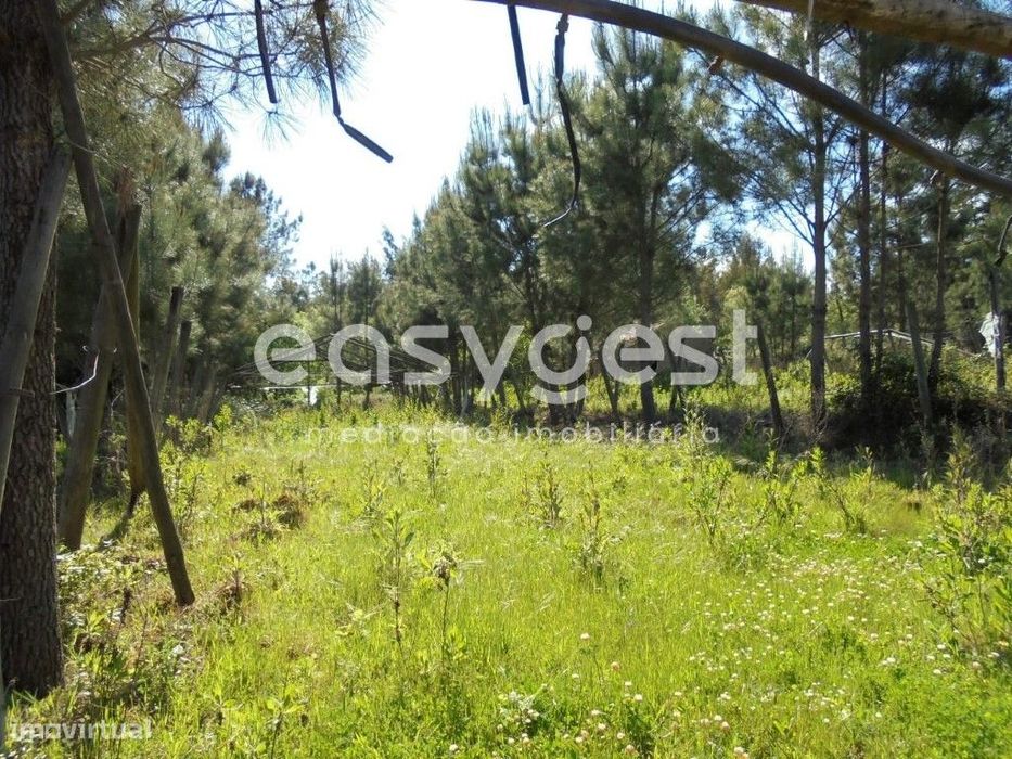 Terreno Rústico localizado 3 km da Vila de Ferreira do Zêzere
