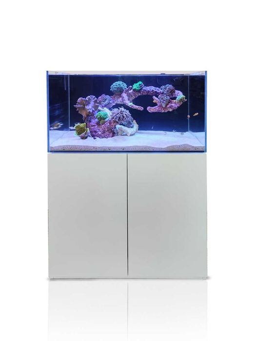 BLAU Marine Gran Cubic 230L Aquario Marinho NOVO com Móvel e Sump