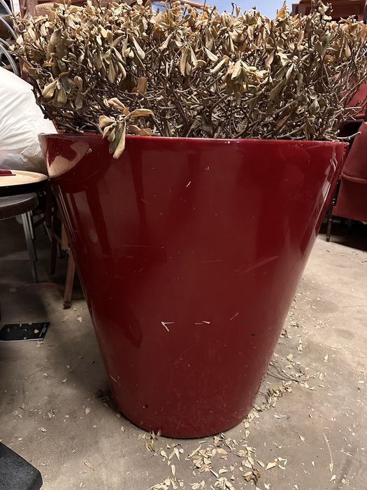 Candeeiros palhinha / Vasos