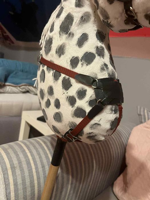 Hobby horse Konik w kropki a3 z kijem oraz akcesoriami

Nazwa: Konik w