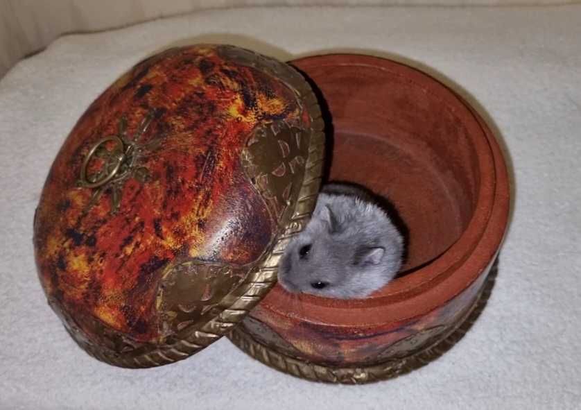 Винтажная старовинная шкатулка для ювелирных изделий из латуни, дерева