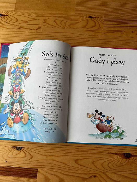 Książka Encyklopedia wiedzy Disney - Gady i płazy