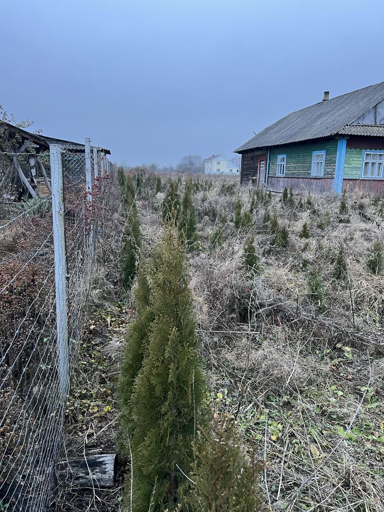 Будинок з землею 60 соток