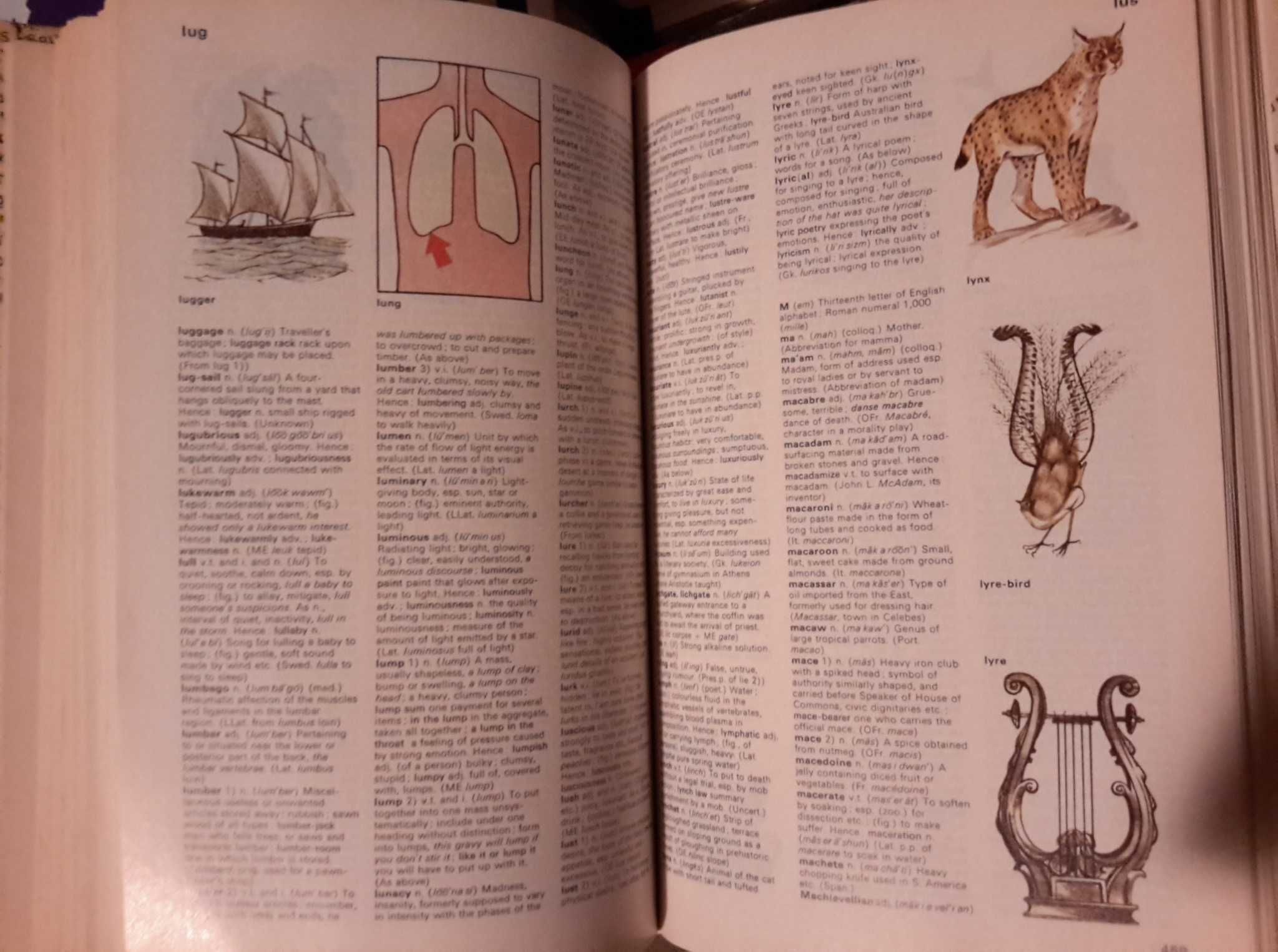 Purnell's Family Dictionary in Colour
