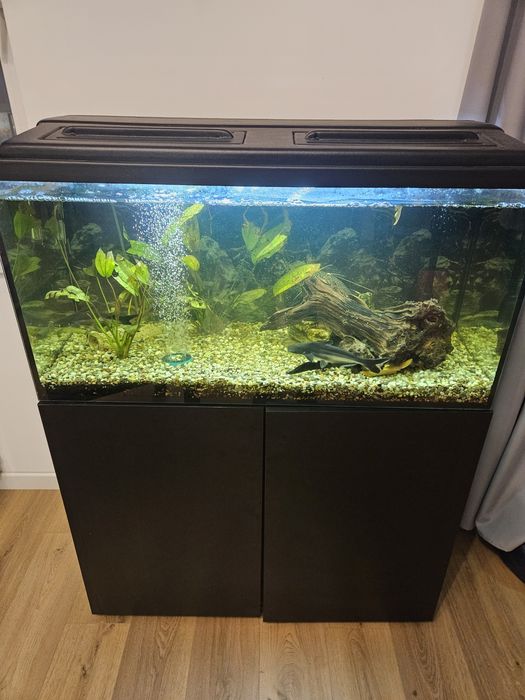 Akwarium 200L do 29.11