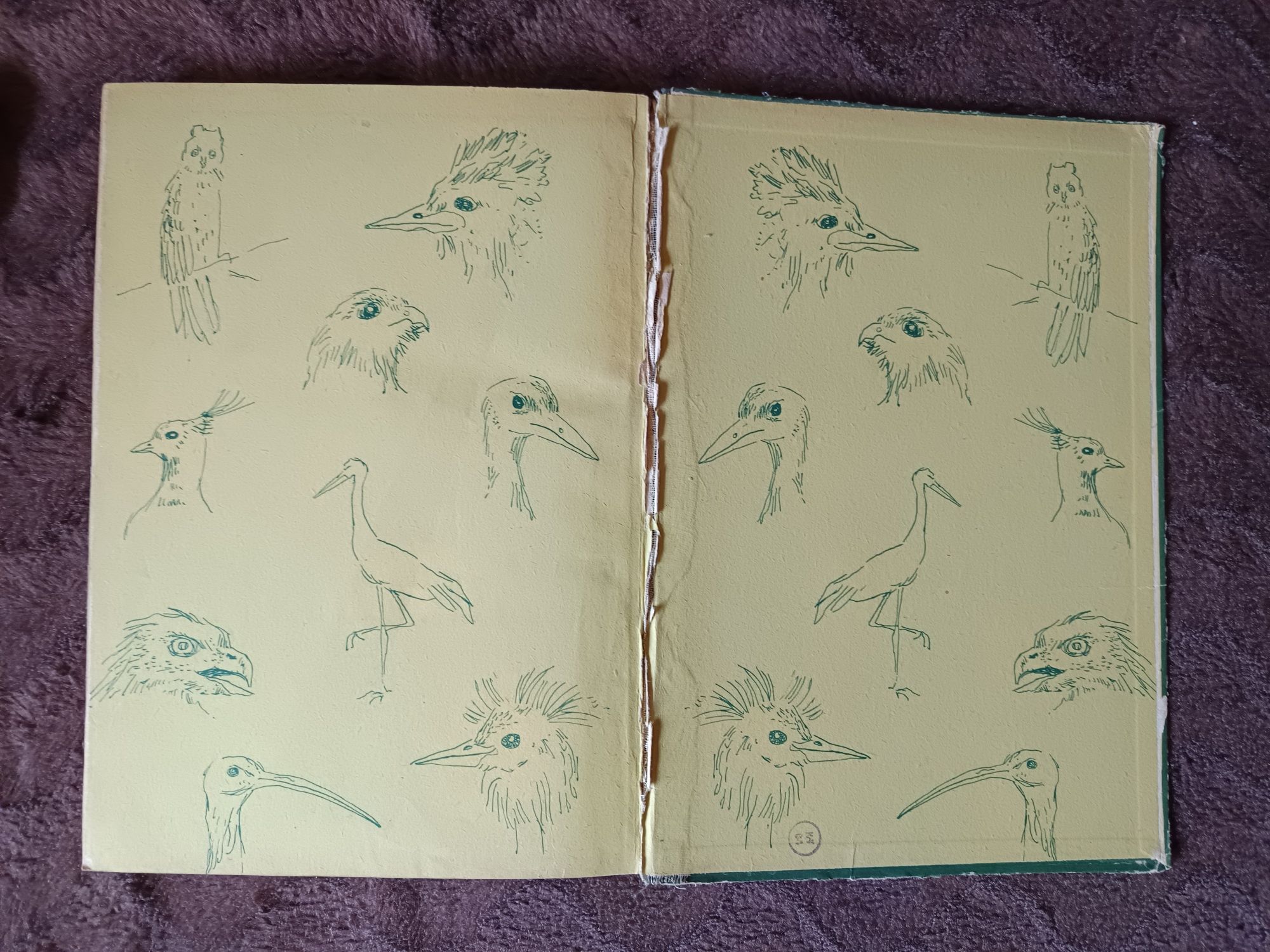 Bezkrwawe łowy - Włodzimierz Puchalski, rok 1954, książka, album