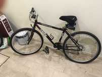 vendo so uma bicicleta impecáveis marca GT e TREK por 150€ cada