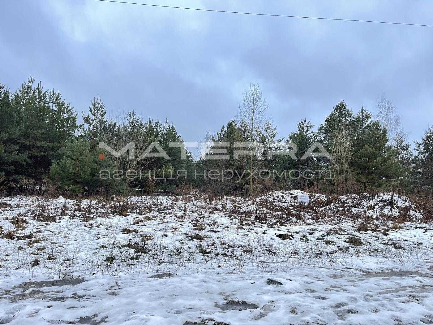 Малютянка 15 соток з соснами