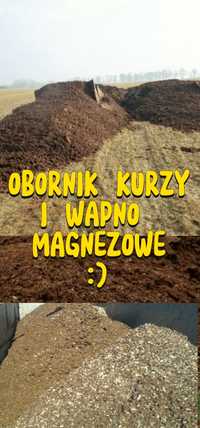 Kurzy Obornik i Wapno Sprzedam z Transportem