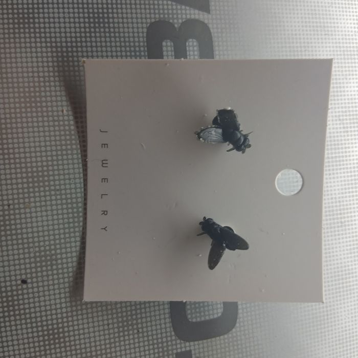 Серьги види  мух